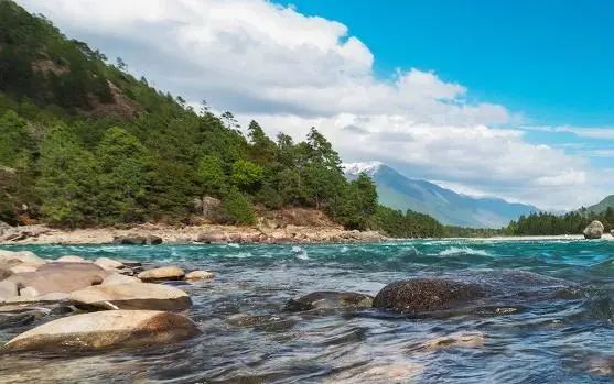 最美拉林公路自驾,高速路上一不小心误入仙境