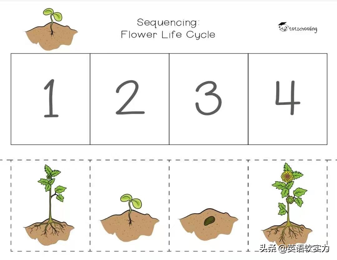 英语启蒙亲子英文,英语启蒙亲子读物