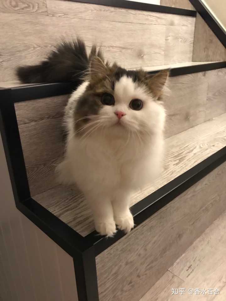 买了高层的人怎么样了,买了顶楼的房子后悔了吗