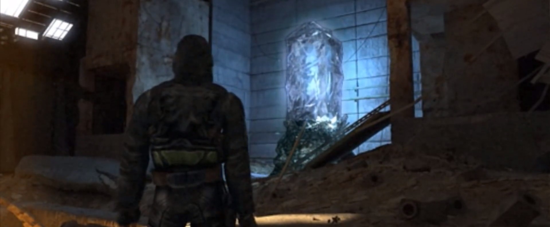 朝花夕拾雪地捕鸟视频,朝花夕拾雷利亚