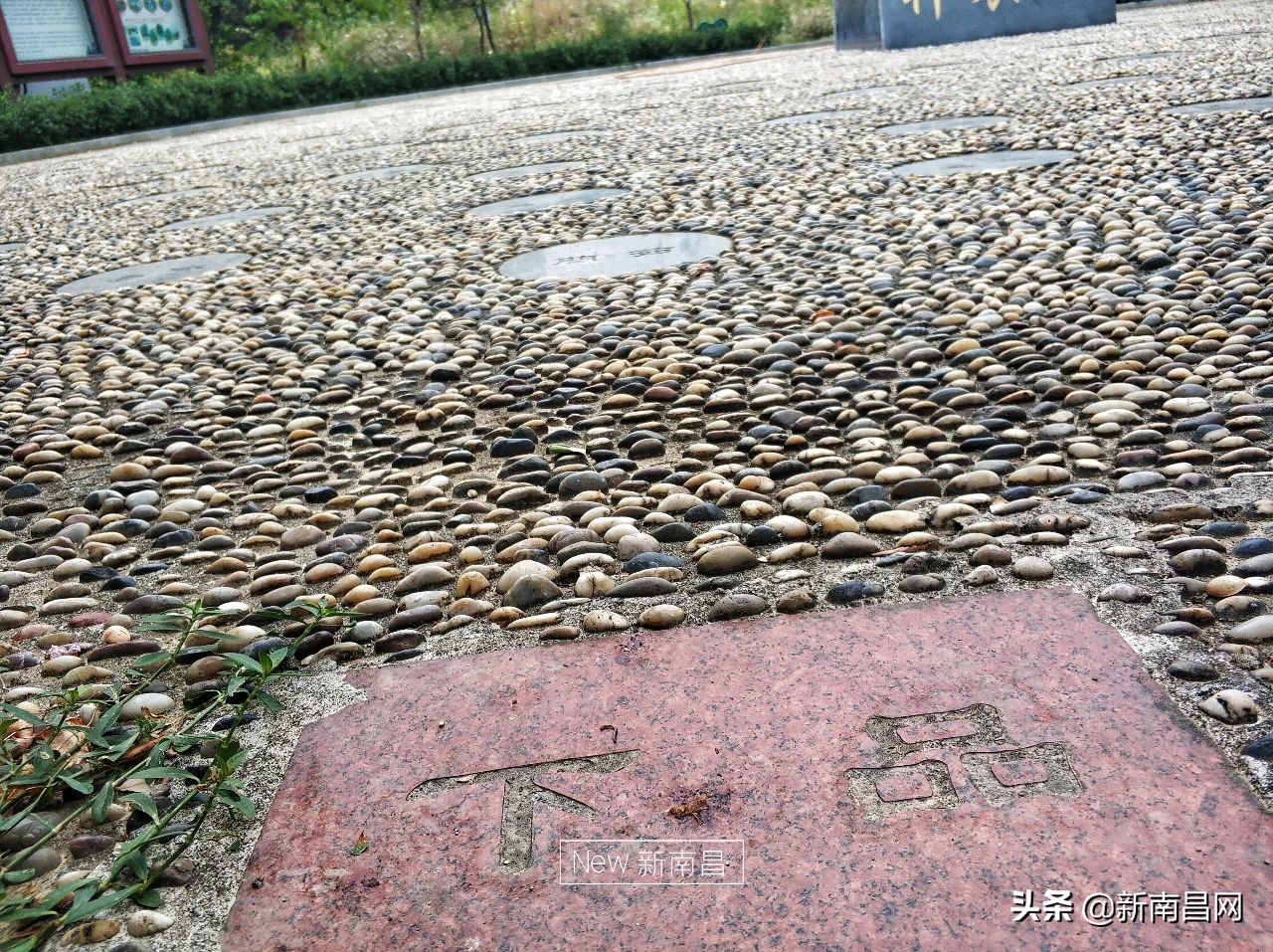 江西中医药大学回忆,现在的江西中医药大学