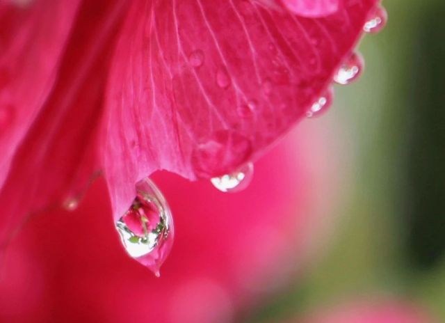 水样心情,水样情怀