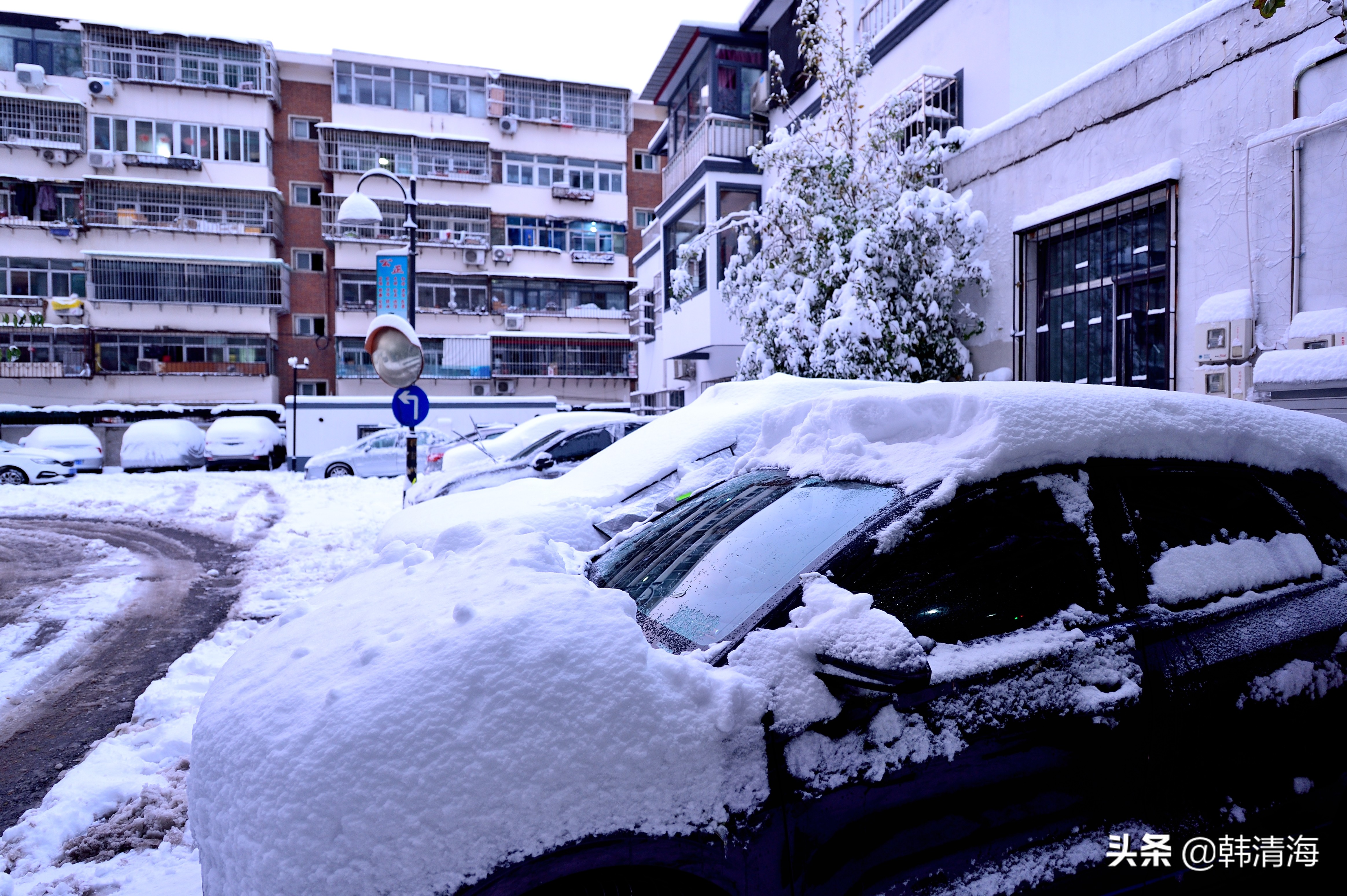 2021天津第一雪水畔花园小区装扮得更加圣洁和美丽