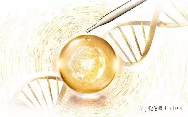 视黄醇护肤的危害,视黄醇加烟酰胺护肤