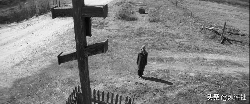 *力暴**与血腥在性关系中，异类是如何存活下去的