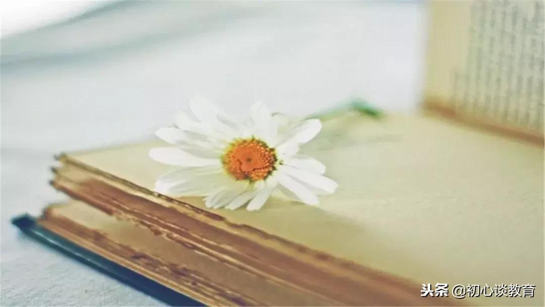 初中语文病句修改及答案,小学语文病句大全及答案