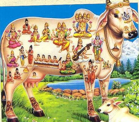 印度印象（七）—谈谈我在新德里的那些事儿