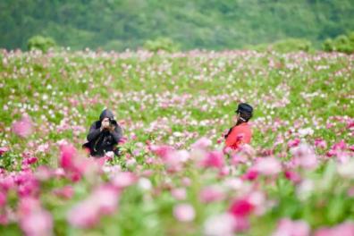 安徽半汤温泉全攻略,半汤温泉一日游