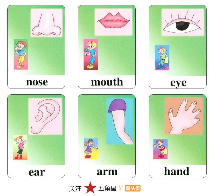 小学三年级英语单词识图卡,少儿英语看图片学单词工具篇