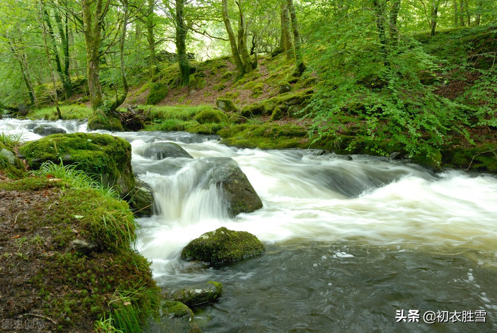 宋词鉴赏周邦彦蝶恋花早行,菩萨蛮梅雪北宋周邦彦古诗讲解