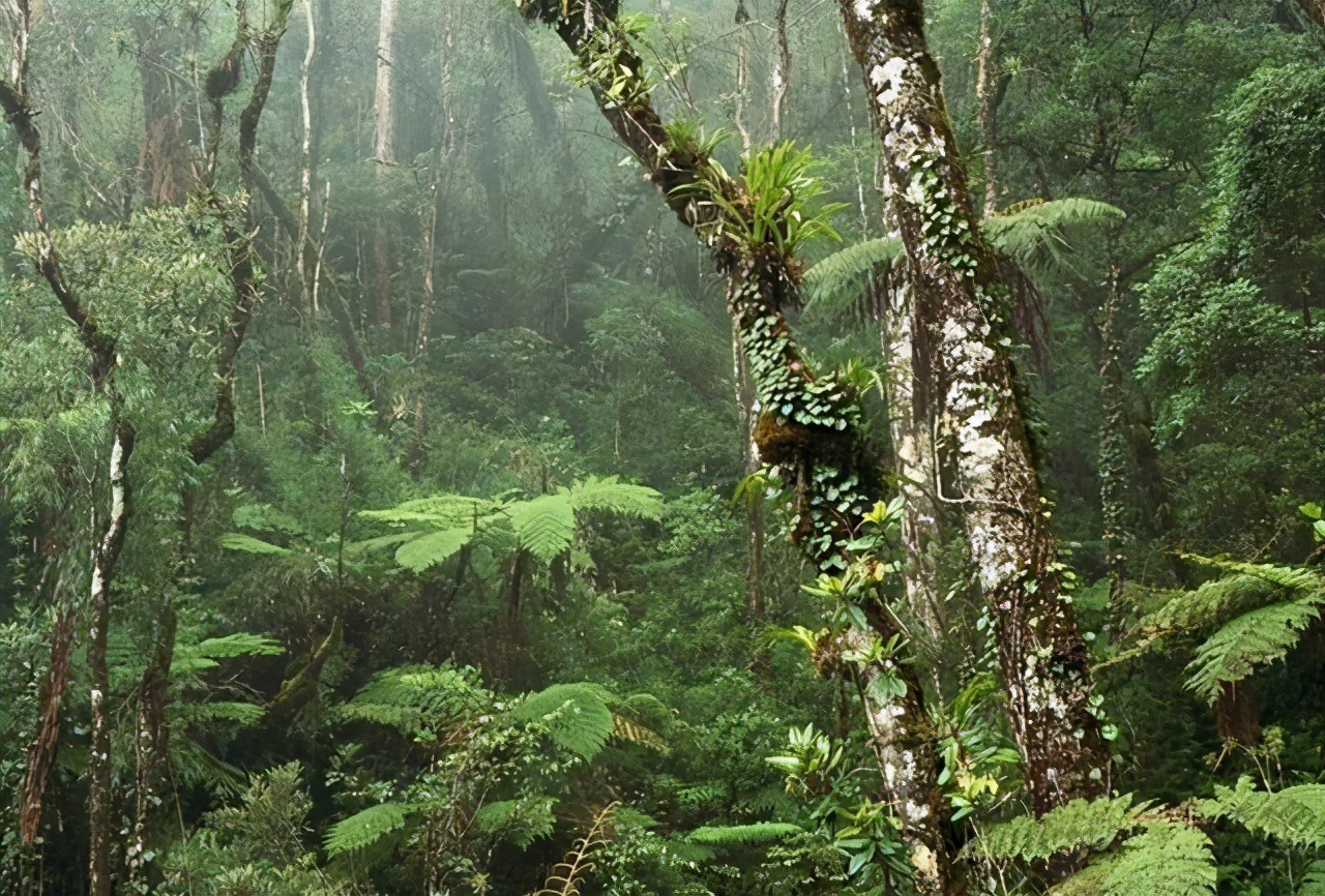 毒蛇能咬死牛吗,在农村被毒蛇咬
