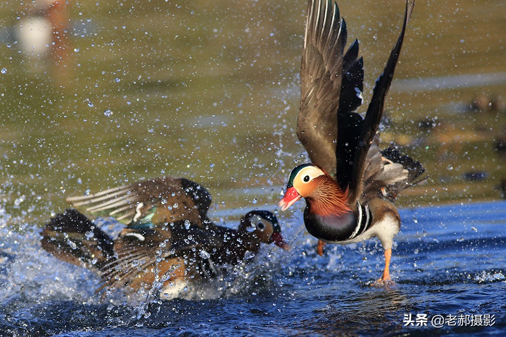 冲冠一怒为红颜讲的是谁,冲冠一怒为红颜的故事