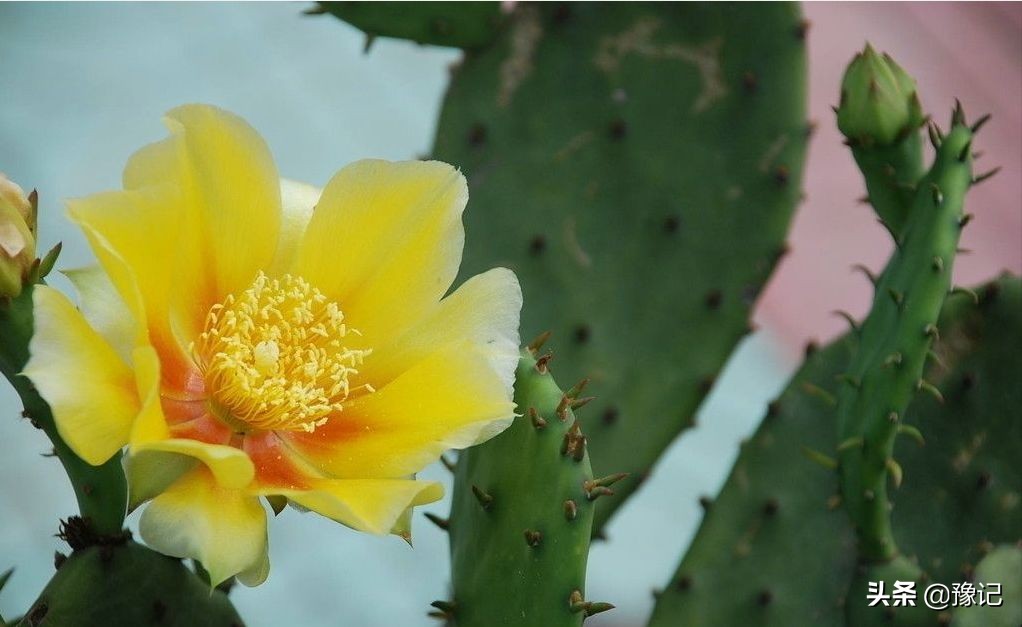 指甲前端里有红血丝痕迹怎么回事,指甲边缘出现红血丝还很疼怎么办