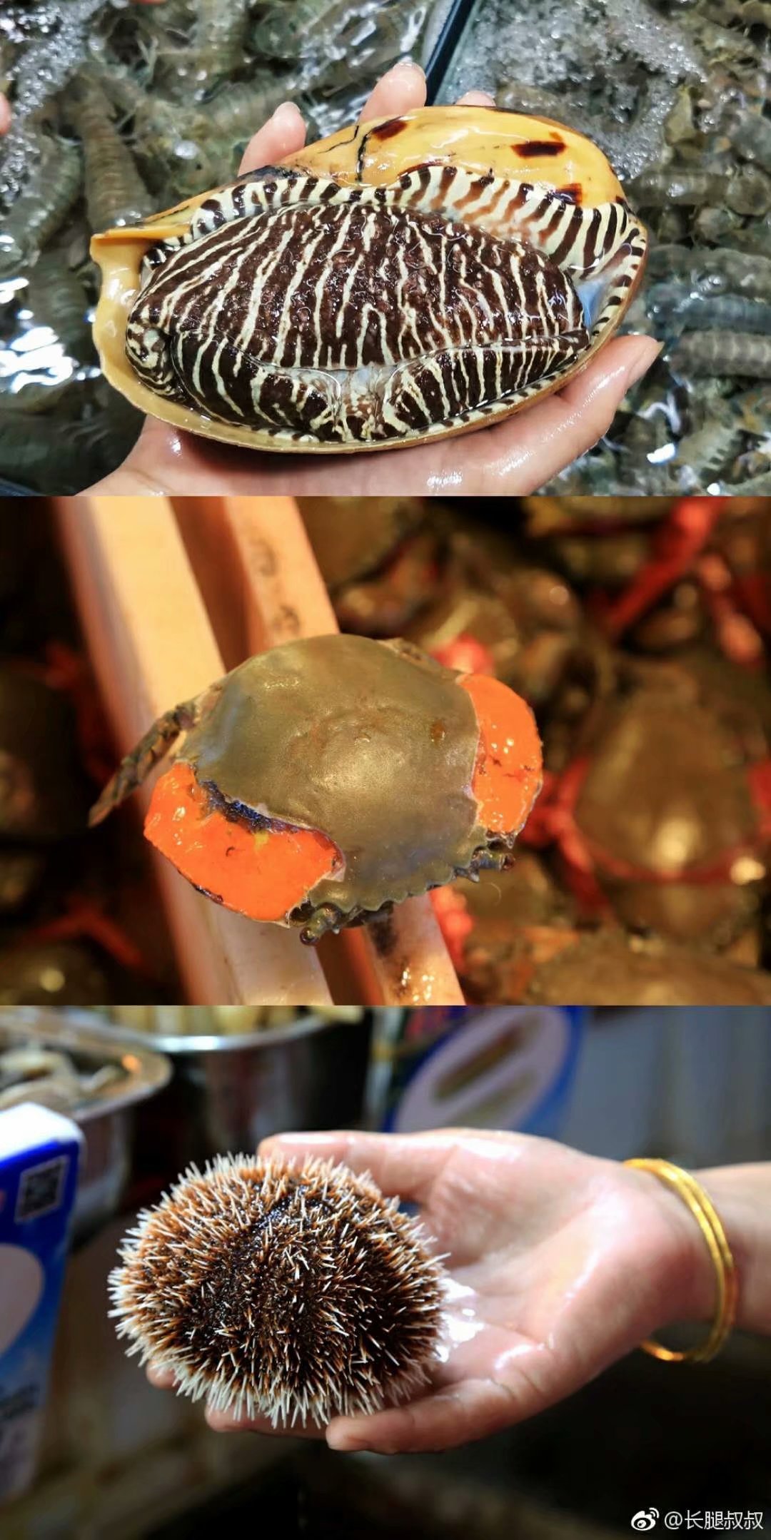 三亚海景旅行攻略,三亚椰风海岸美食攻略