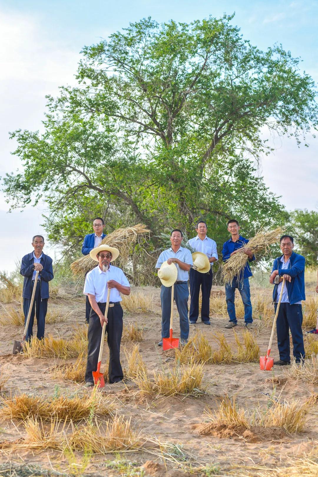 中国植树造林面积,中国植树造林成果国外有什么看法