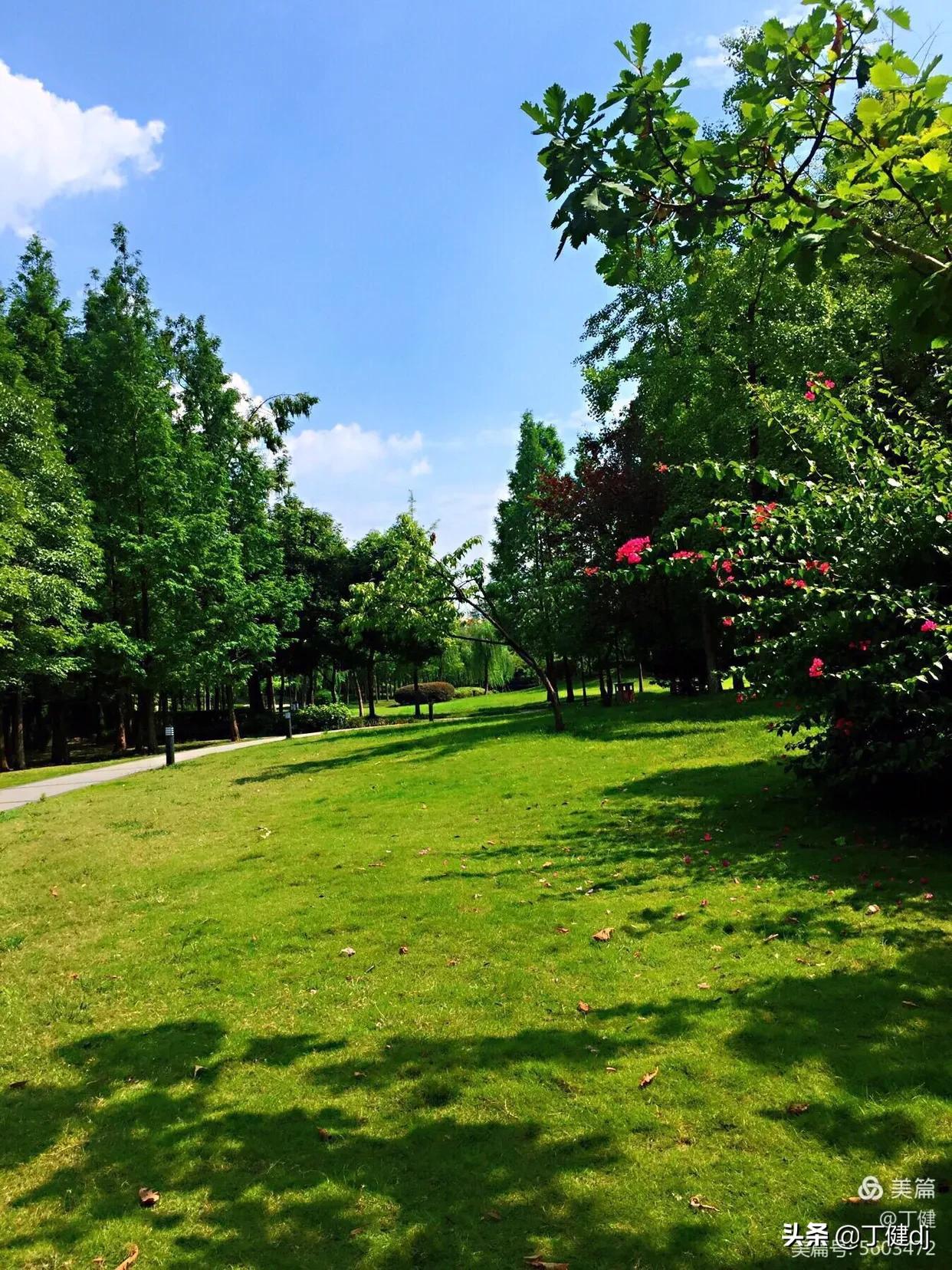 游弋在文字中的意思,游弋在古典诗词中的意思