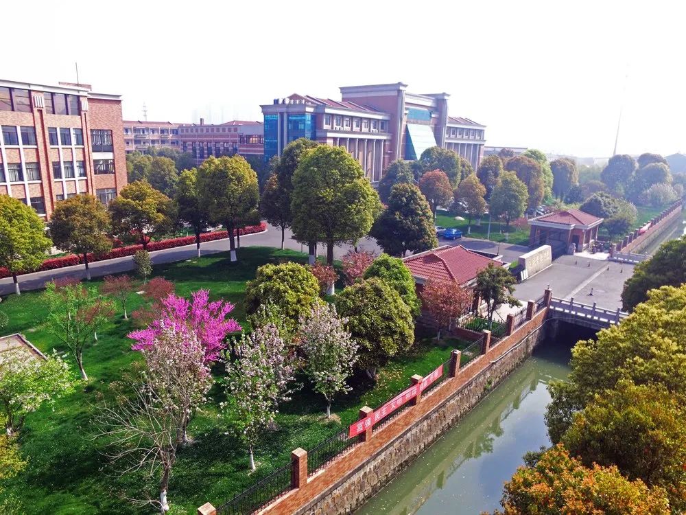 武进区三大民办，谁是你心中的NO.1？