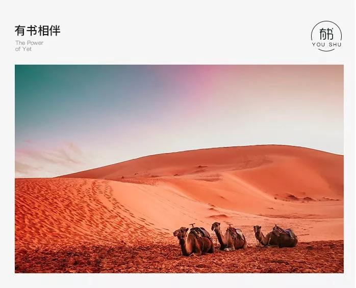 为什么有的人一份工作能干很久,放弃了月薪8000的工作选择创业