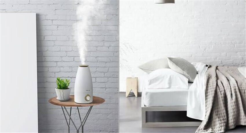 天然加湿器适合种什么绿植,空气加湿器种什么植物好