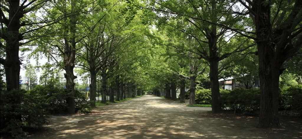 太阳炎热做好防晒,太阳怎么防晒