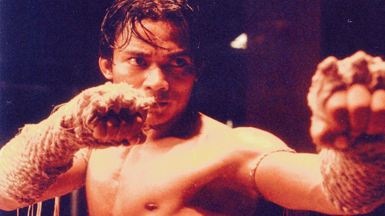 成龙甄子丹吴京李连杰哪个最厉害,成龙甄子丹李连杰吴京洪金宝