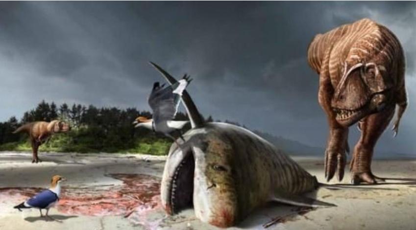 恐龙灭绝后过了多少年人类才诞生,恐龙灭绝到人类诞生全过程