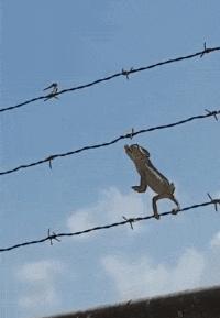 刚从后院挖出来的,大家帮我鉴定一下,我是不是要发财了?