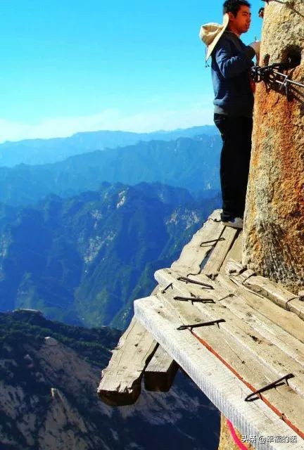 6月到了，送你6花6蝶6鸟6景6曲6诗，这月顺顺利利。