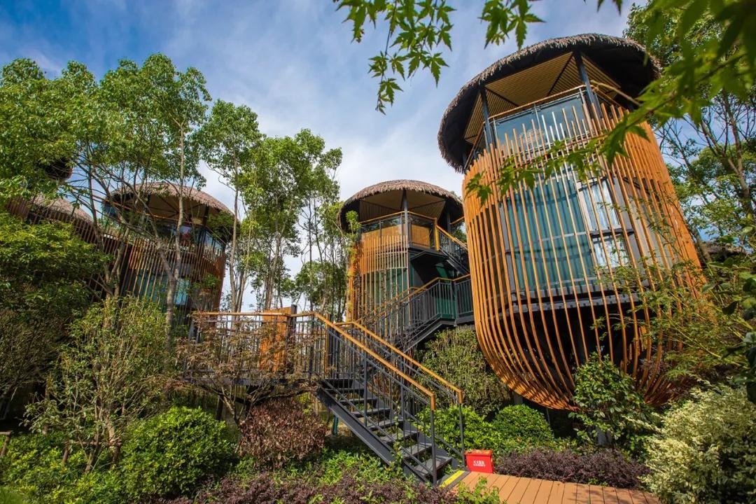 吸睛“鸟巢”上线！感受童话田园生活，来度假区这家露营地就对啦