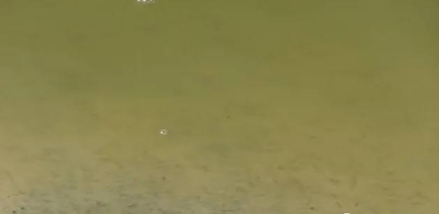 水产养殖总碱度与总硬度怎么检测,总碱度500超标对水产养殖的影响