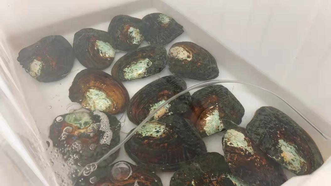 离开美团后，她开了一家珍珠手工坊，但没过多久又回到大厂？