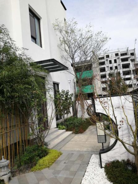 鍚戝線涔嬪,鍚戝線涔嬪瑁呴グ