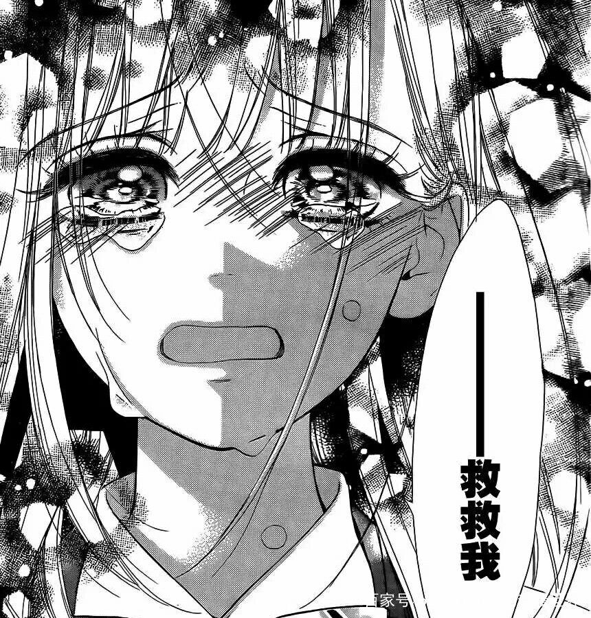 一口气看完的漫画校园欺凌,校园欺凌漫画老实人发怒