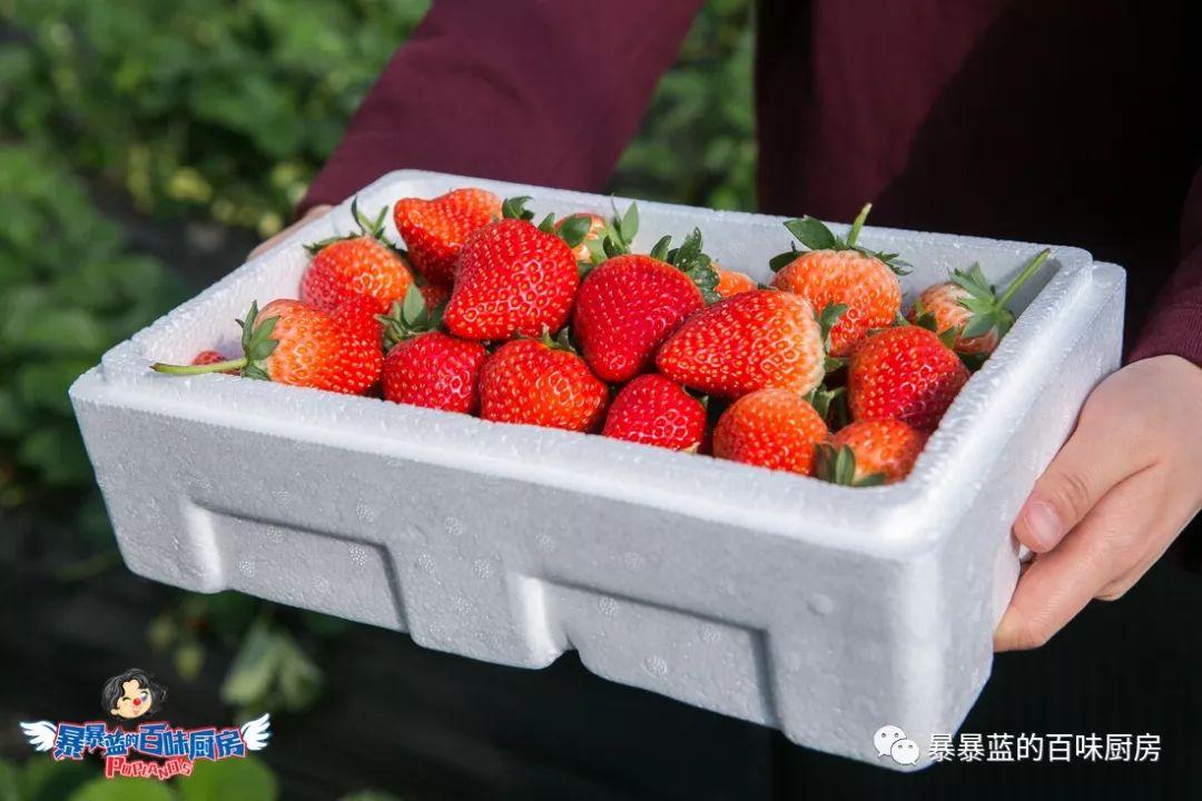 丹东特大久久红草莓,丹东九九大草莓是引进的吗