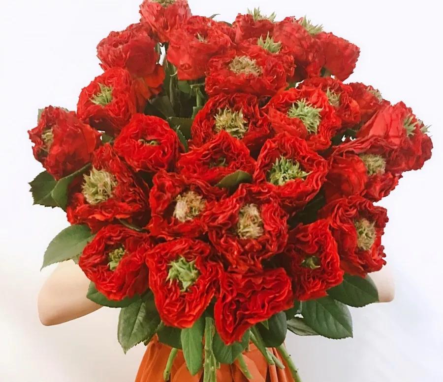 花店热销花,热卖鲜花花束