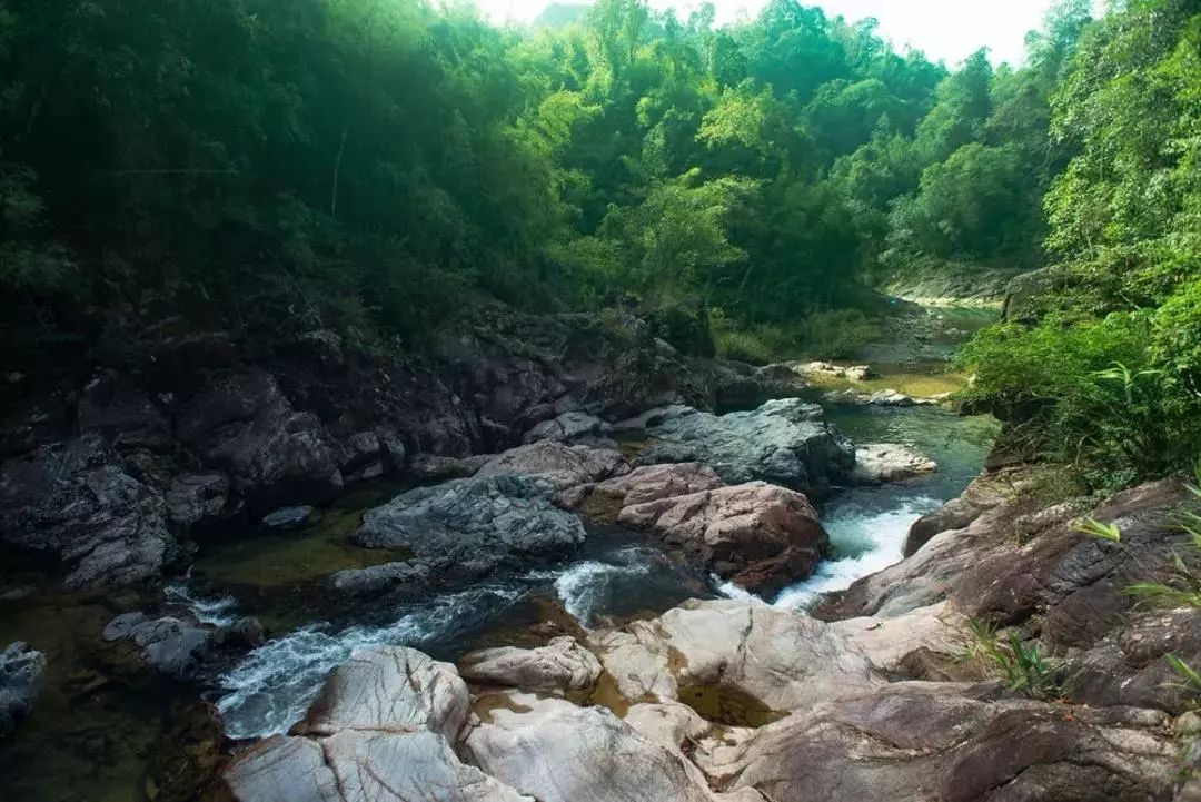 森呼吸运动乐园乘车路线,森呼吸好玩吗