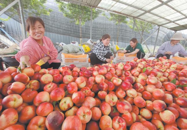 奋起直追创新高,奋起直追成为黑马