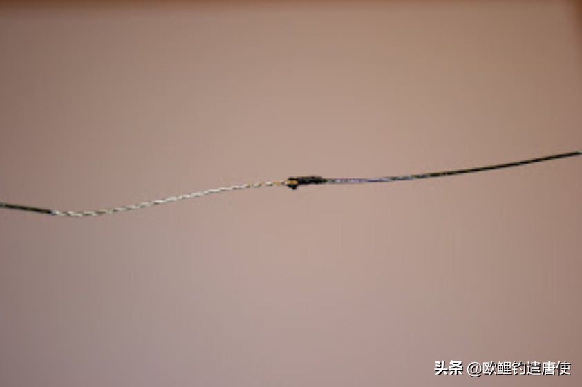 话说欧鲤钓组全集,欧鲤钓组可以钓哪些鱼