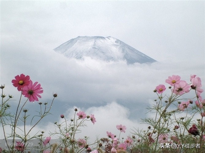 操作流程ppt素材,ppt批量操作技巧