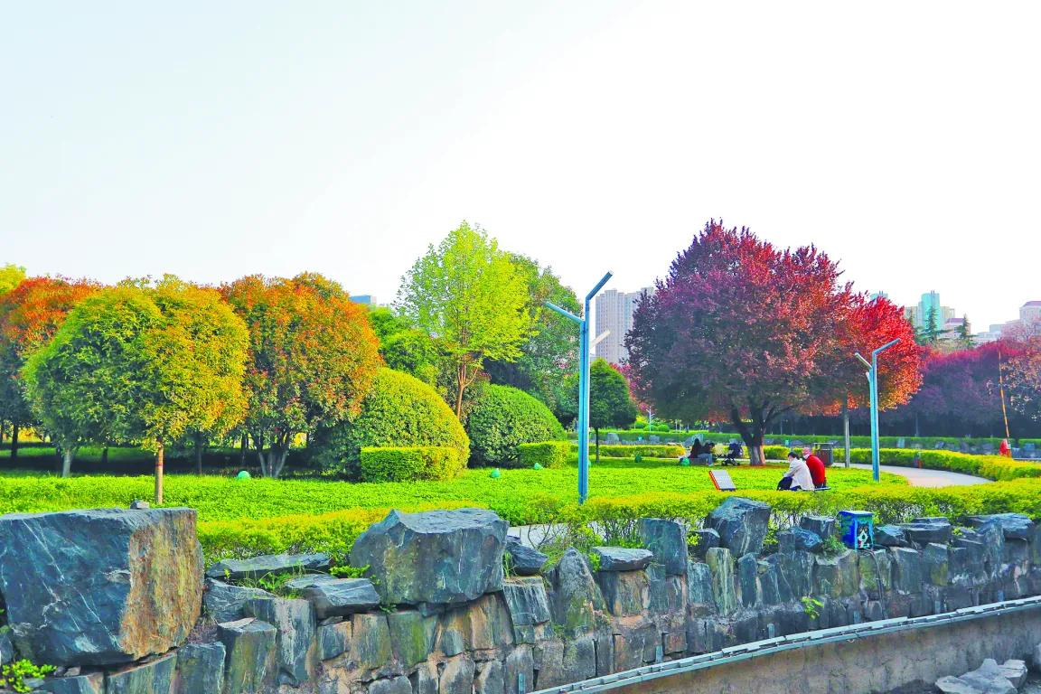 全运托起健身梦全民刮起“运动风”高新公园里的健身场所，藏不住啦！