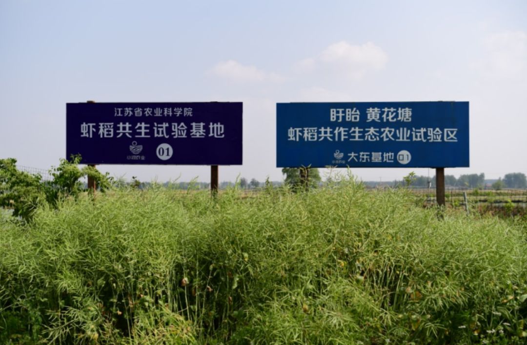 低风险低投资养殖,养殖什么投资小风险低回报快