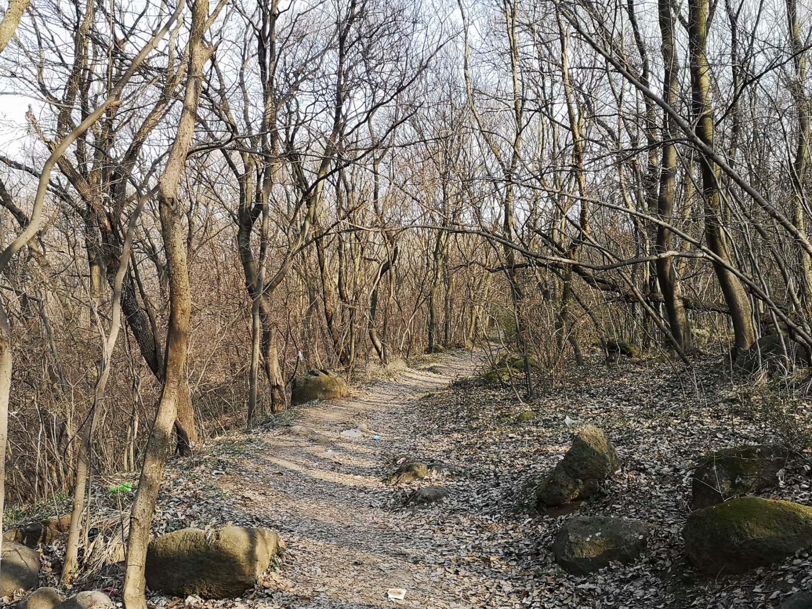 摩托周边旮旯游——探访明光法华禅庵塔