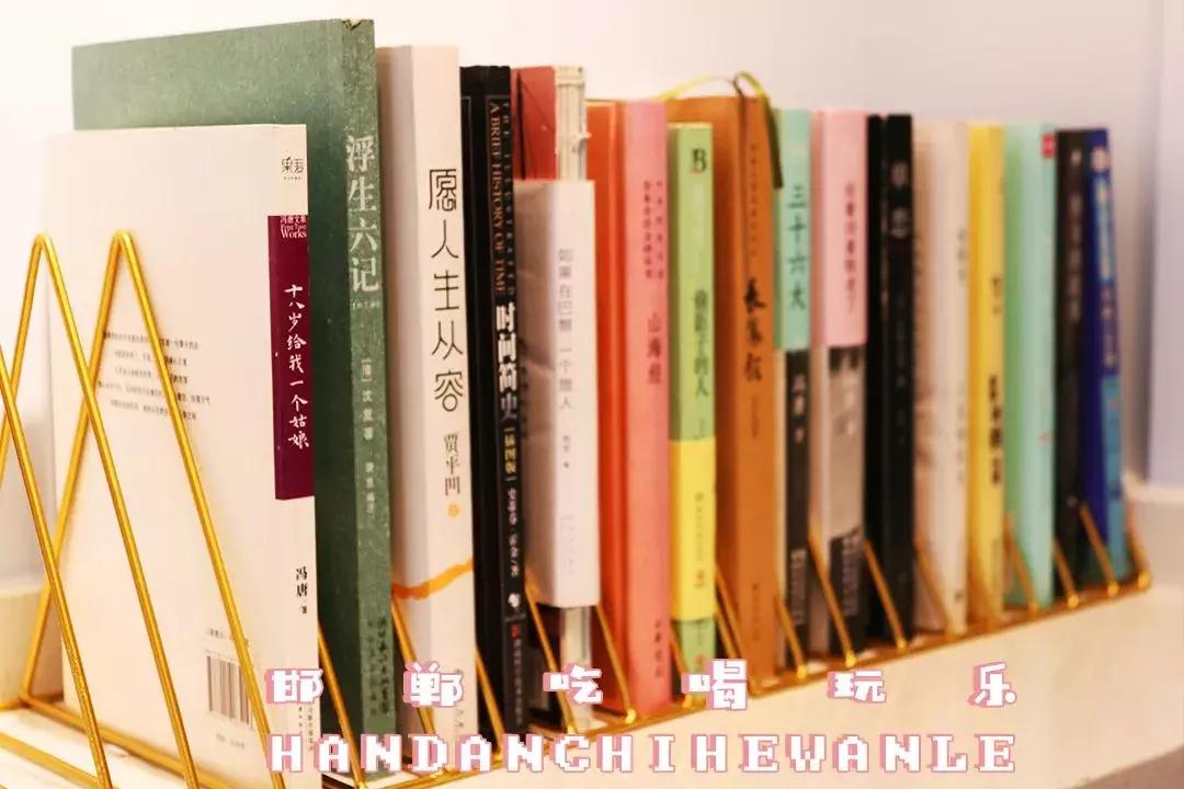 软萌暴击!邯郸这家高颜值猫咖上线,“吸猫”终于提上日程!