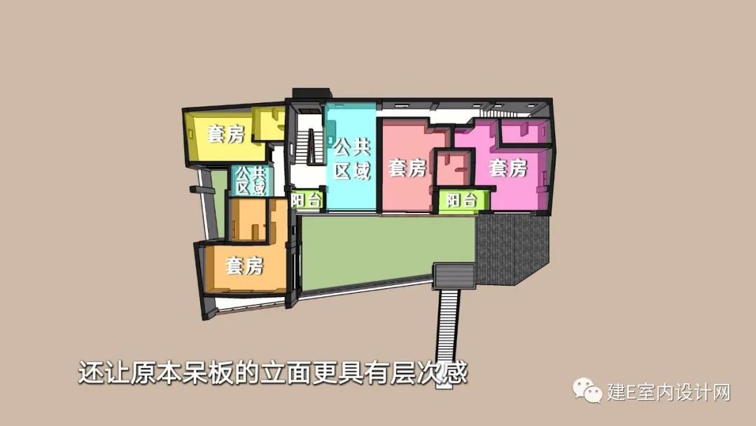 乘风破浪谢柯,谢柯个人简历