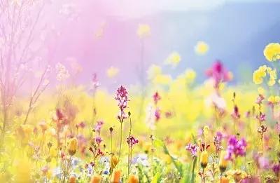 高情商的10大表现你有几个,高情商的六个表现你都知道几个