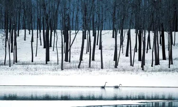 一个摄影师的作品合集,如何拍古建筑摄影出高级感