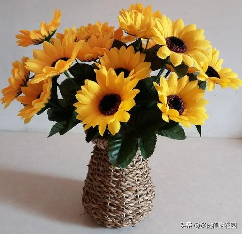 表达对老师的赞美的花是什么花,表达对老师敬意和谢意