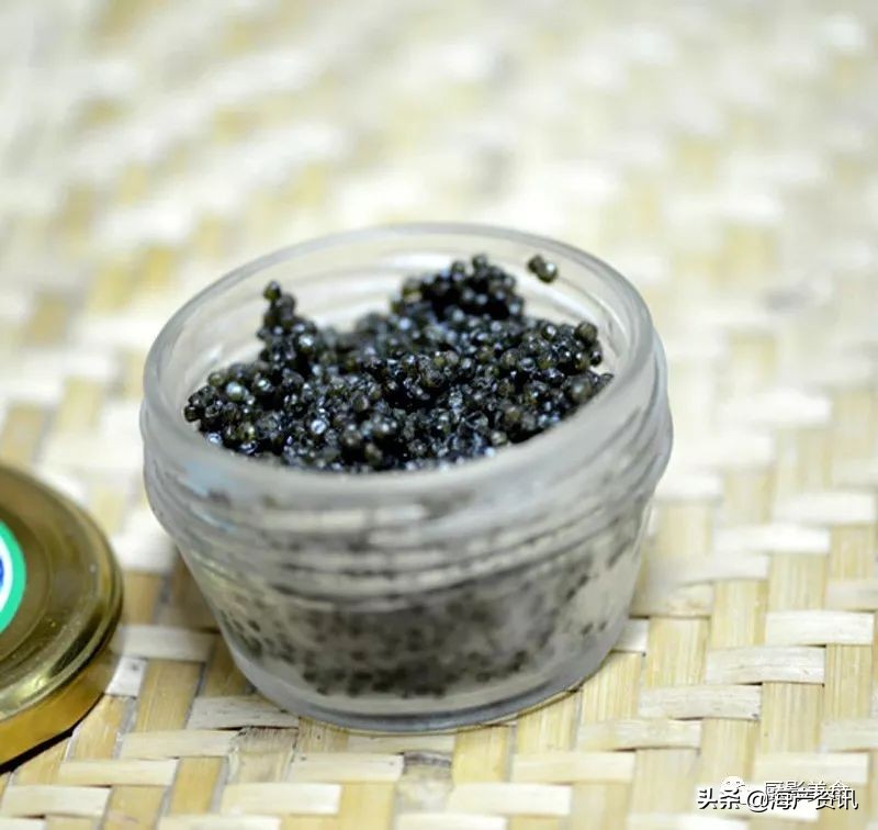 全世界顶级的4种海鲜,世界十大名贵海鲜