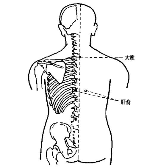 消除脂肪肝的穴位图,消除脂肪肝的穴位