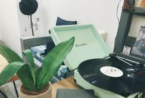 适合带猫咪下午茶好去处,佛山南海区猫咪推荐